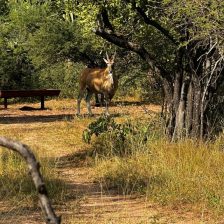 IMG-20240403-WA0022 IMG-20240403-WA0022