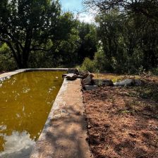 IMG-20240403-WA0023 IMG-20240403-WA0023