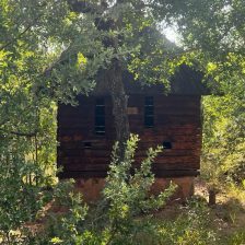 IMG-20240403-WA0024 IMG-20240403-WA0024